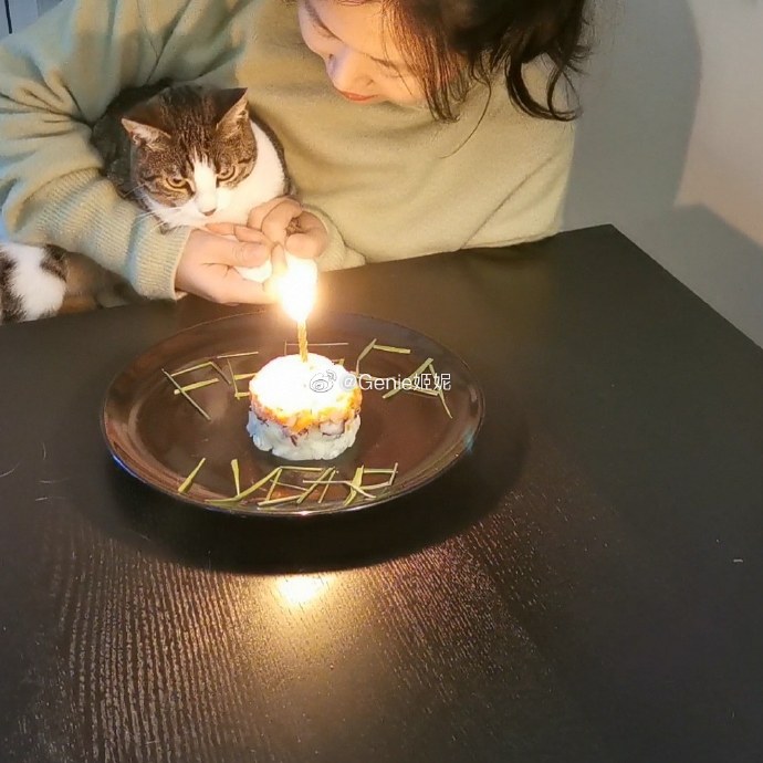 猫图片|宠物猫|猫咪|