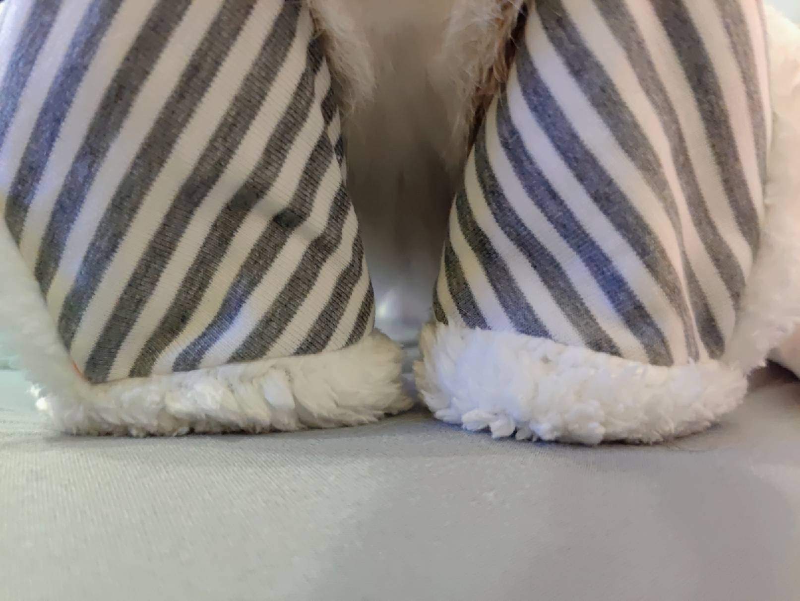 猫图片|宠物猫|猫咪|