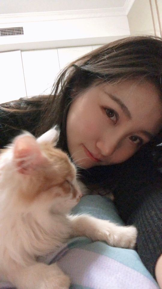 猫图片|宠物猫|猫咪|