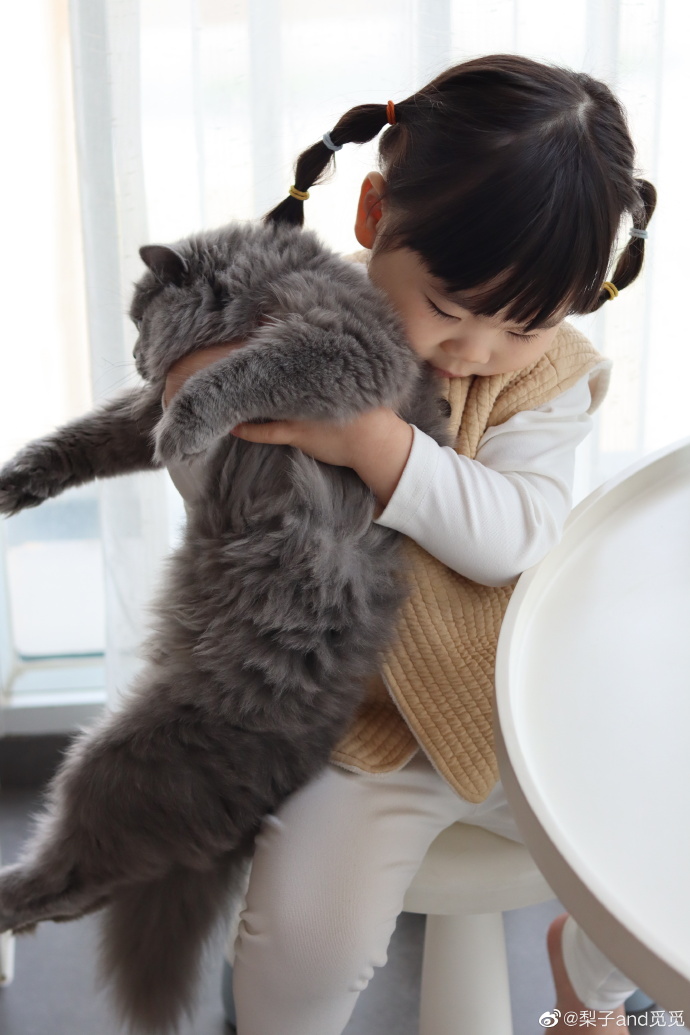 猫图片|宠物猫|猫咪|