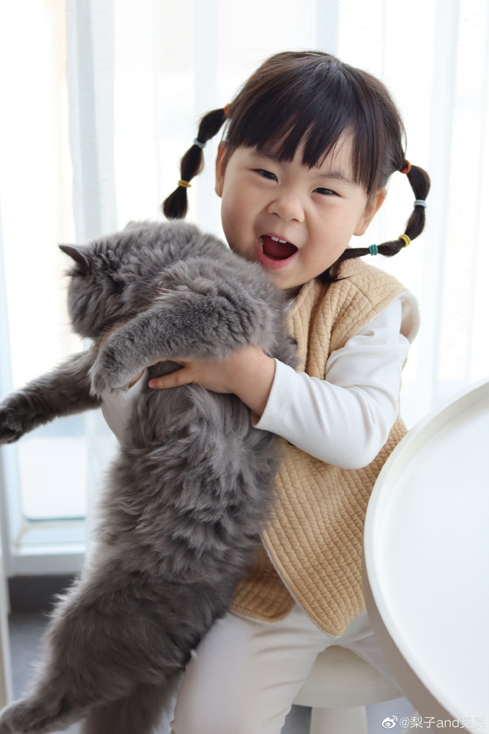 猫图片|宠物猫|猫咪|