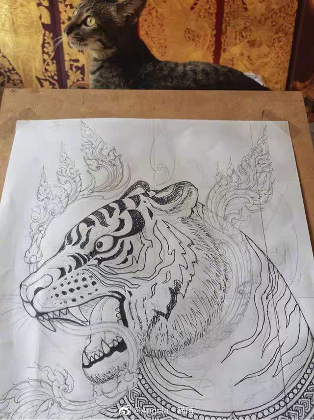 猫图片|宠物猫|猫咪|