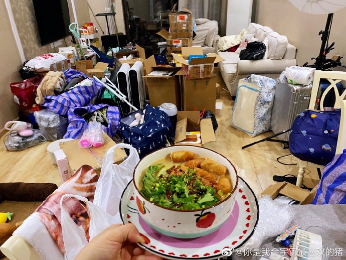 猫图片|宠物猫|猫咪|