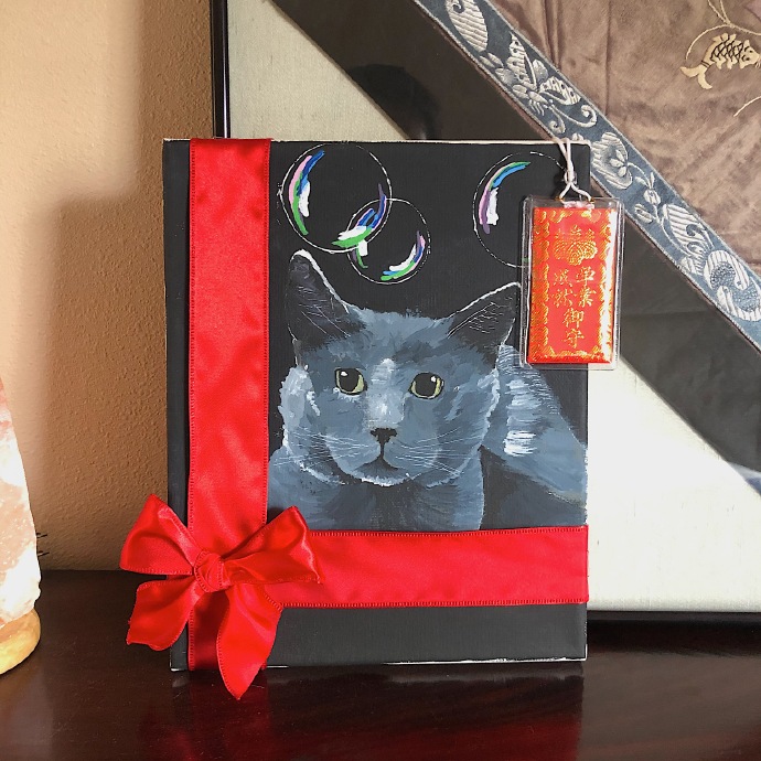 猫图片|宠物猫|猫咪|