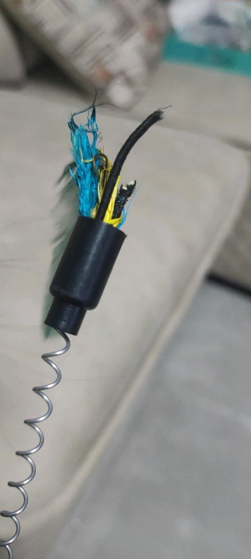 猫图片|宠物猫|猫咪|