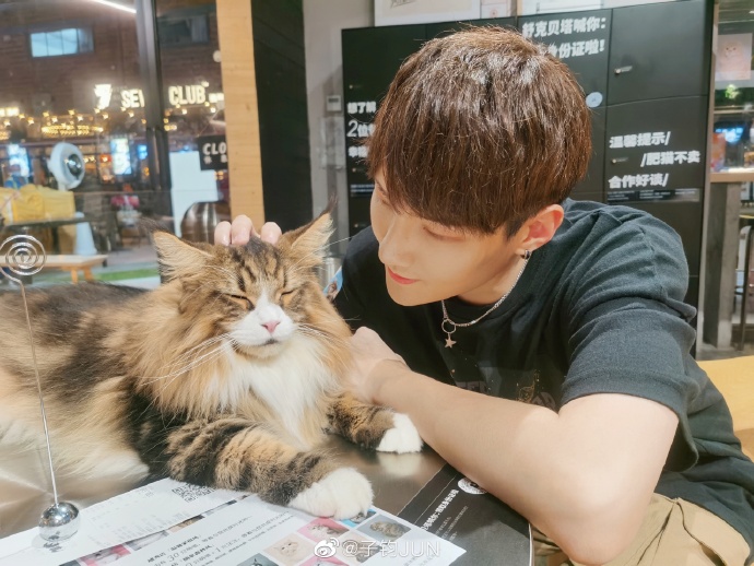 猫图片|宠物猫|猫咪|