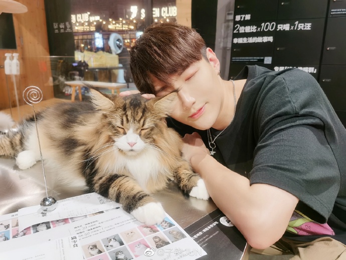 猫图片|宠物猫|猫咪|