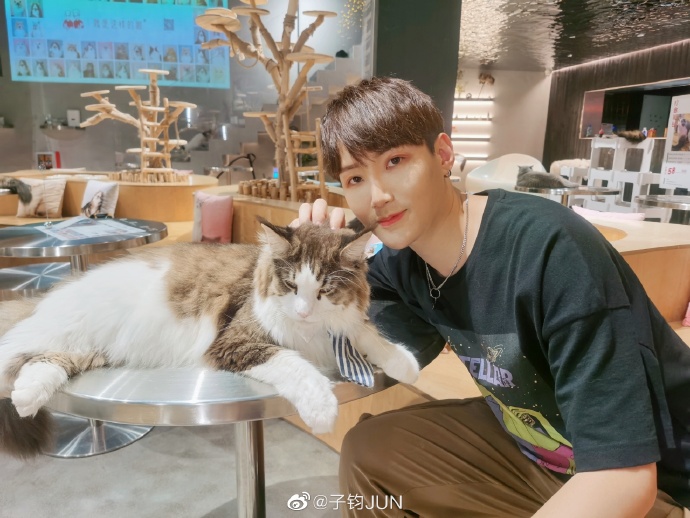 猫图片|宠物猫|猫咪|