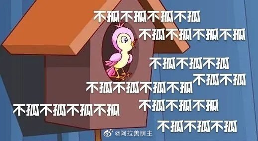 猫图片|宠物猫|猫咪|