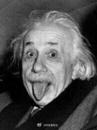 猫图片|宠物猫|猫咪|