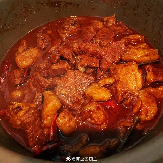 猫图片|宠物猫|猫咪|