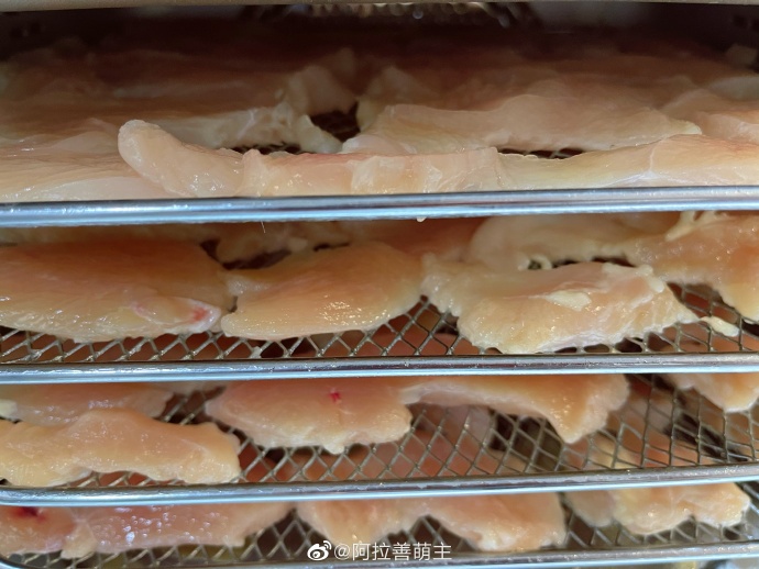 猫图片|宠物猫|猫咪|