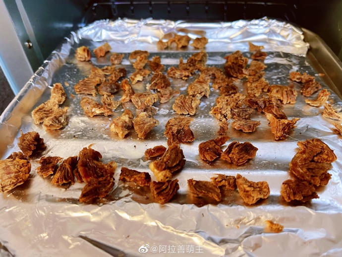 猫图片|宠物猫|猫咪|