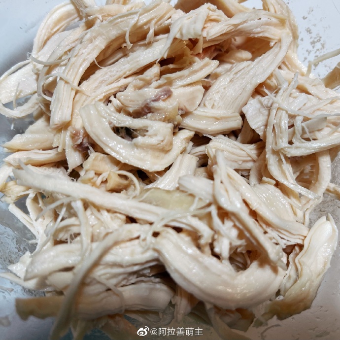 猫图片|宠物猫|猫咪|