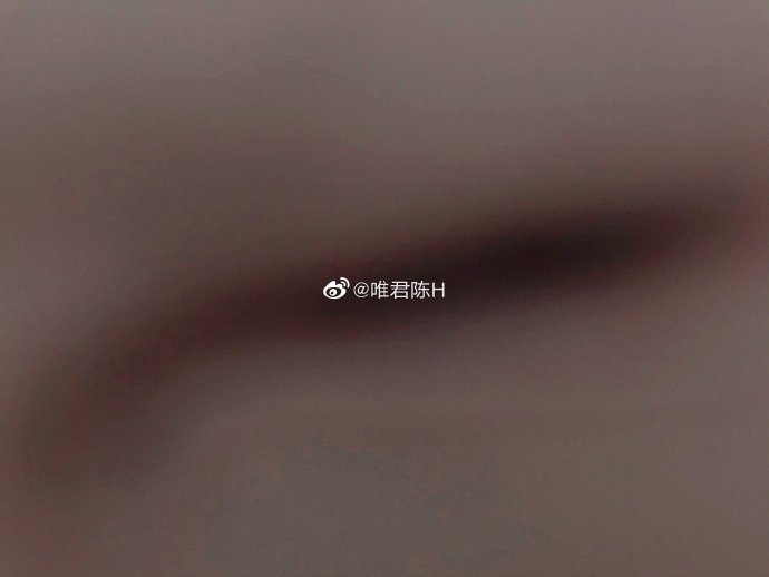 猫图片|宠物猫|猫咪|