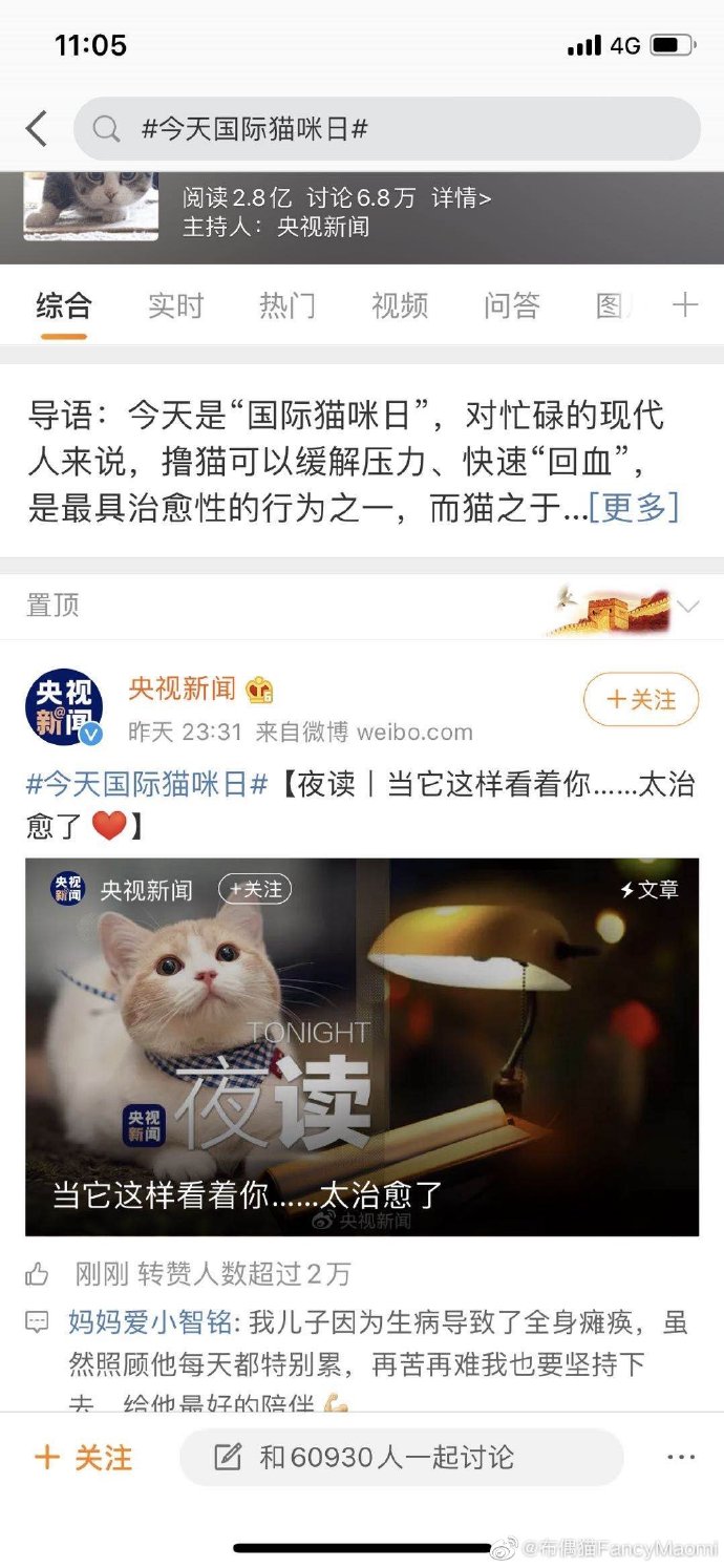 猫图片|宠物猫|猫咪|