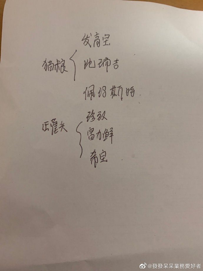 猫图片|宠物猫|猫咪|