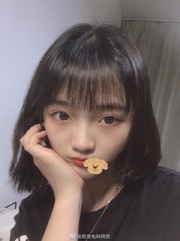 猫图片|宠物猫|猫咪|