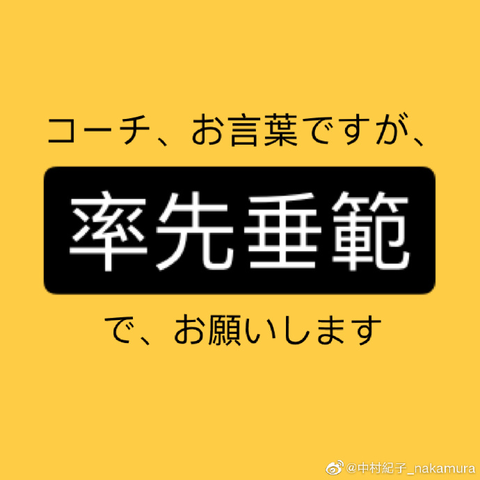 猫图片|宠物猫|猫咪|