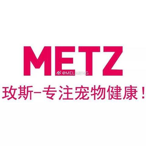 猫图片|宠物猫|猫咪|