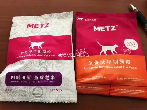 猫图片|宠物猫|猫咪|