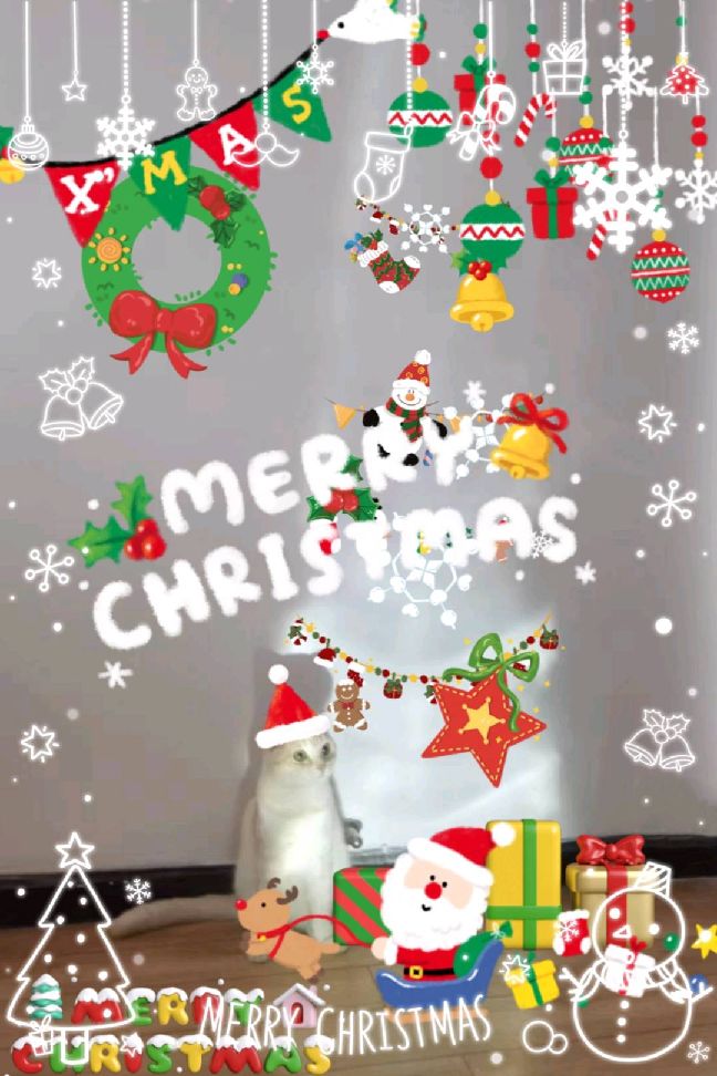 猫图片|宠物猫|猫咪|