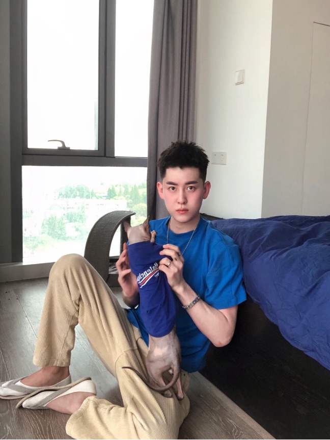 猫图片|宠物猫|猫咪|