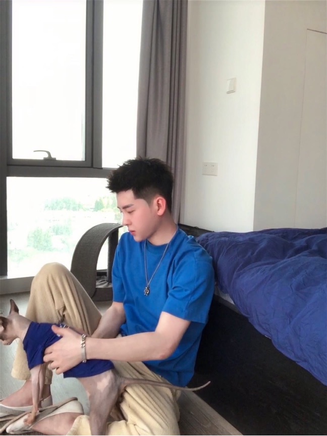 猫图片|宠物猫|猫咪|