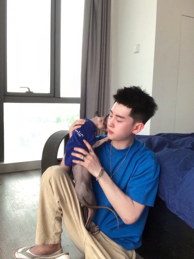 猫图片|宠物猫|猫咪|