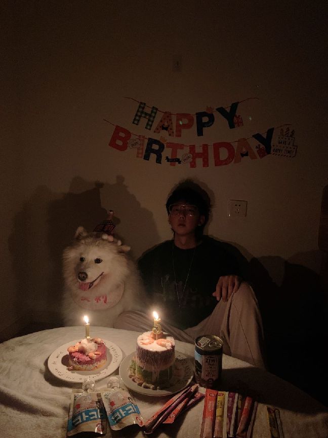 猫图片|宠物猫|猫咪|