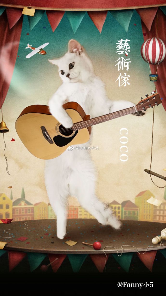 猫图片|宠物猫|猫咪|