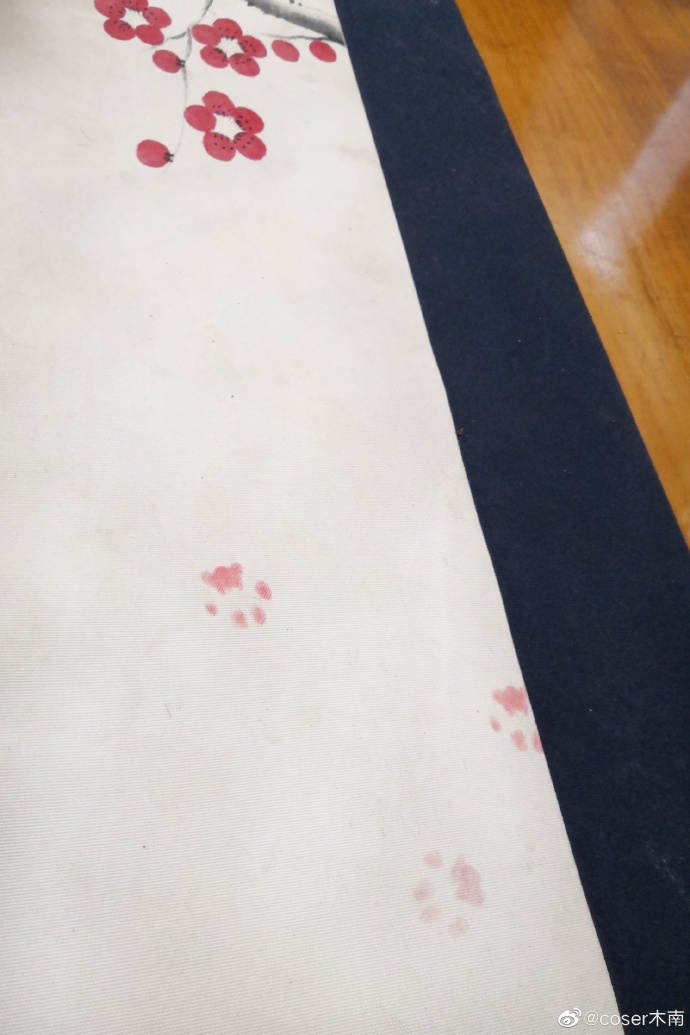 猫图片|宠物猫|猫咪|