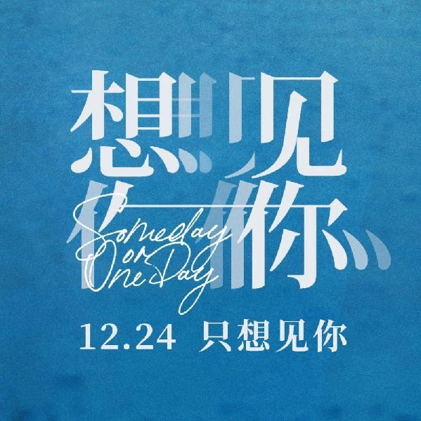 猫图片|宠物猫|猫咪|