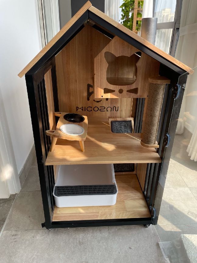 猫图片|宠物猫|猫咪|