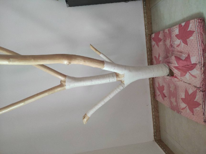 猫图片|宠物猫|猫咪|