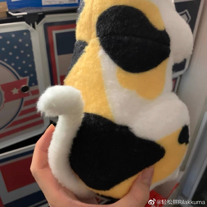 猫图片|宠物猫|猫咪|