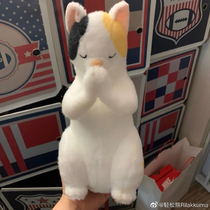 猫图片|宠物猫|猫咪|