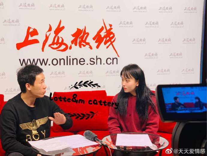 猫图片|宠物猫|猫咪|