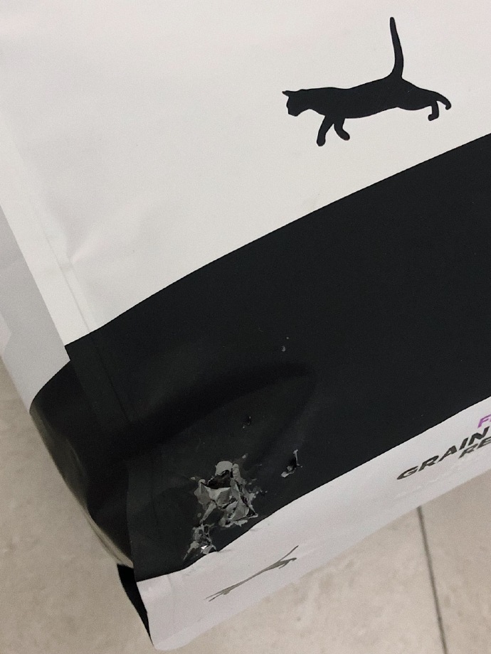 猫图片|宠物猫|猫咪|