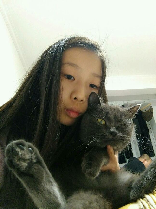 猫图片|宠物猫|猫咪|