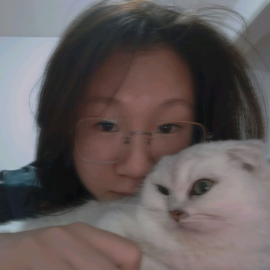 猫图片|宠物猫|猫咪|