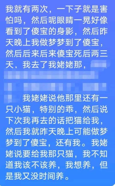 猫图片|宠物猫|猫咪|