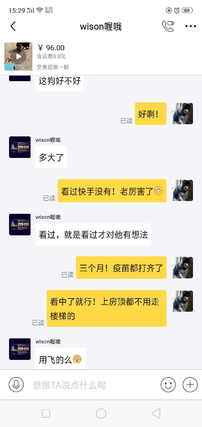 猫图片|宠物猫|猫咪|