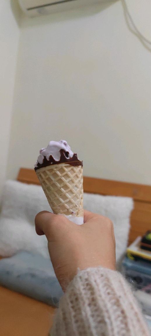 猫图片|宠物猫|猫咪|