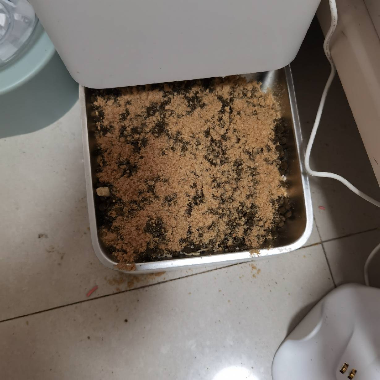 猫图片|宠物猫|猫咪|