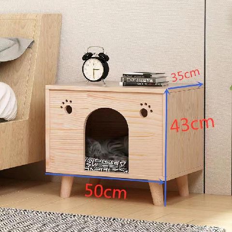 猫图片|宠物猫|猫咪|