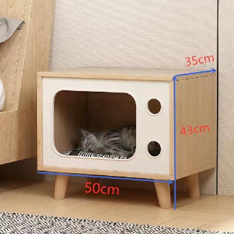 猫图片|宠物猫|猫咪|