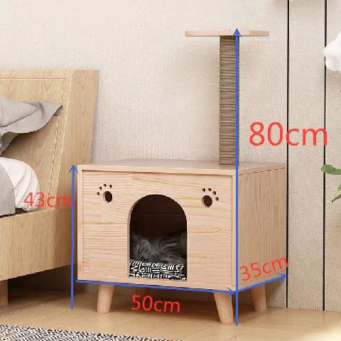 猫图片|宠物猫|猫咪|