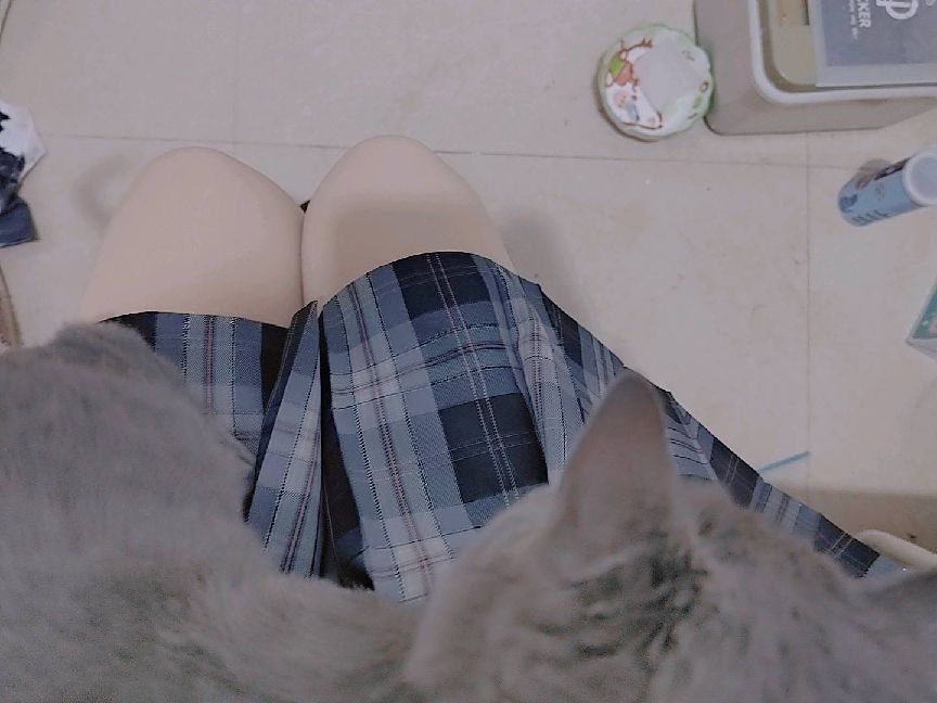 猫图片|宠物猫|猫咪|