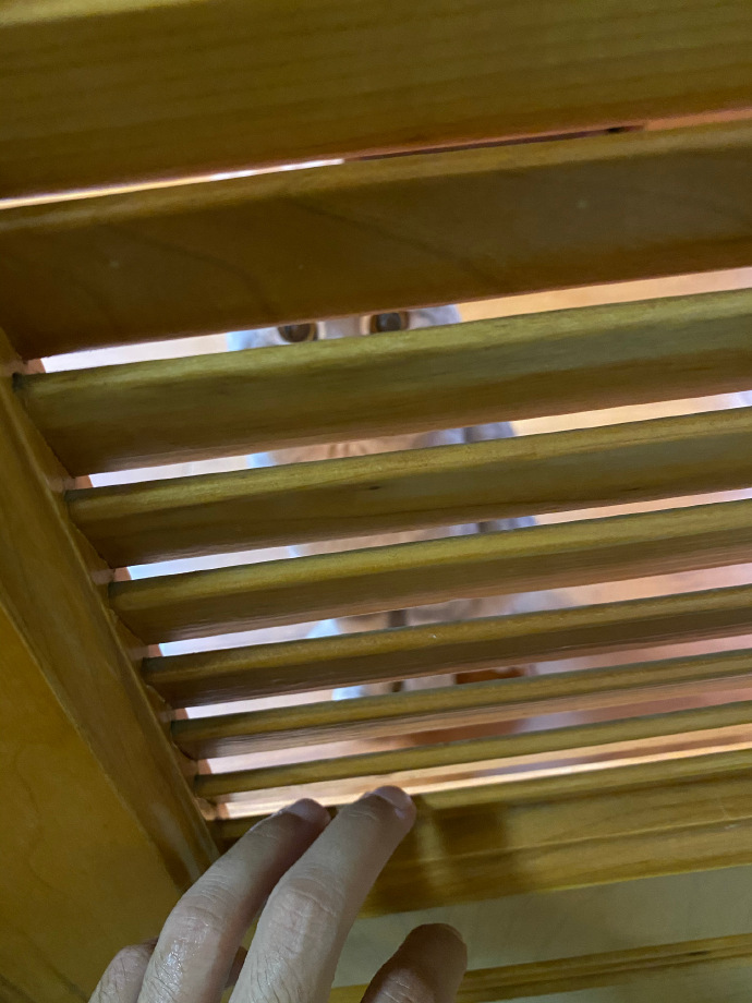 猫图片|宠物猫|猫咪|